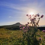 eZy_watermark_06-06-2021_05-54-59