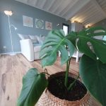 eZy_watermark_22-06-2021_12-55-18