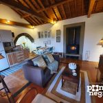 eZy_watermark_26-05-2021_02-12-55
